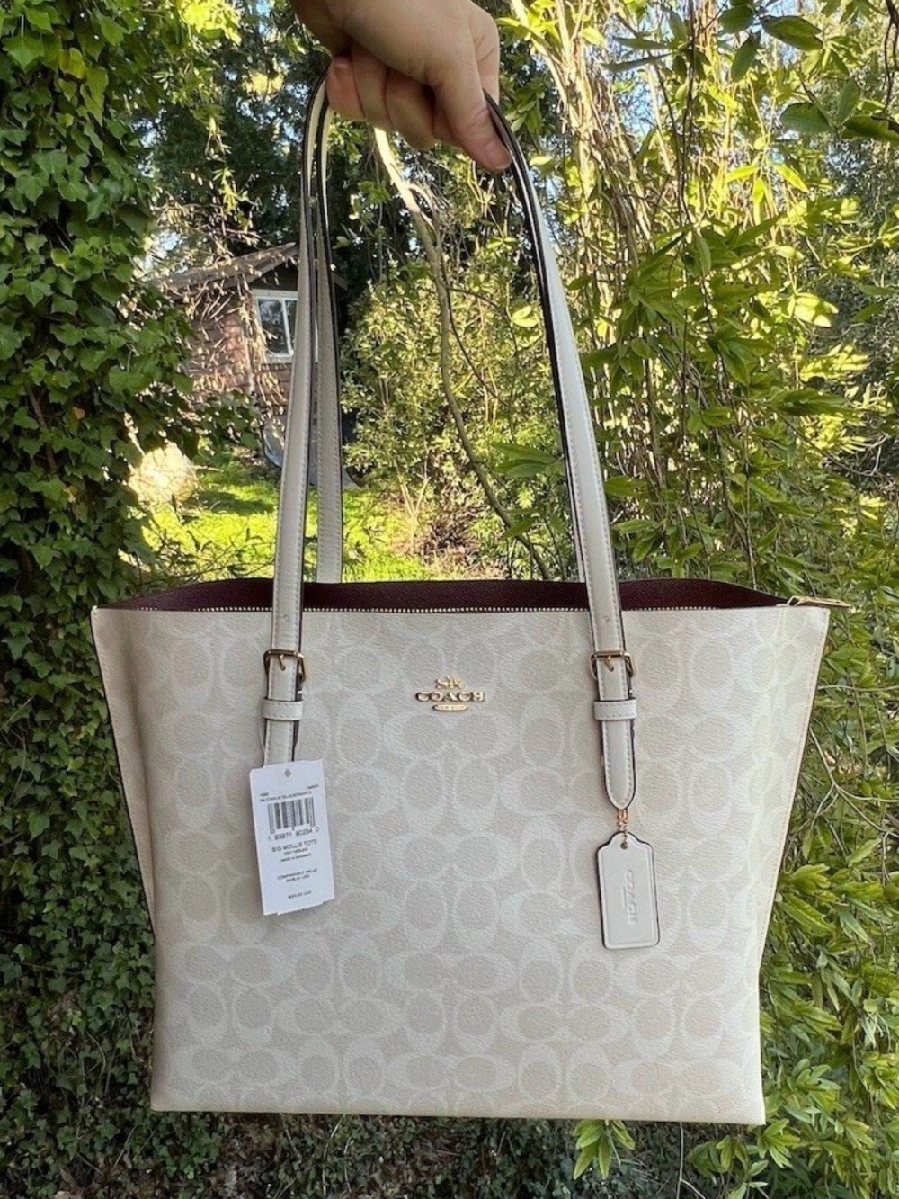 COACH Shoulder Bag Large Mollie Tote Signature Chalk/Glacierwhite Gold Hardware